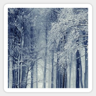 Forest Covered In A Snow, Scandinavian, Nordic, Nature Photography Sticker